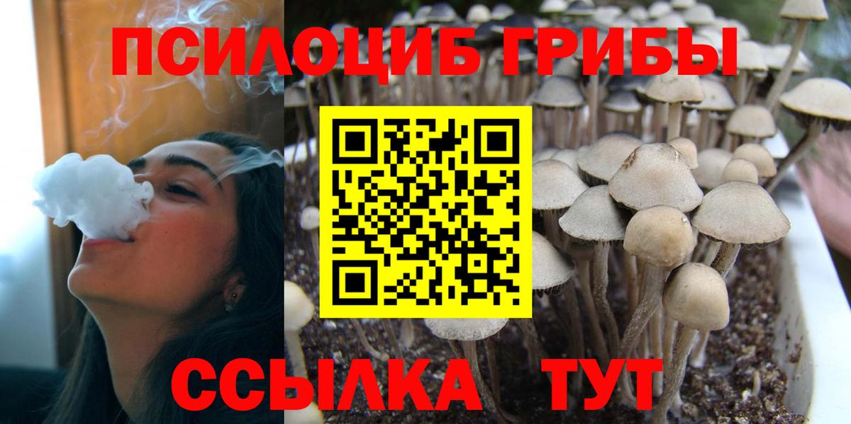 Псилоцибиновые грибы ЛСД Шебекино